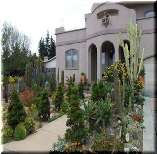 Front Yards